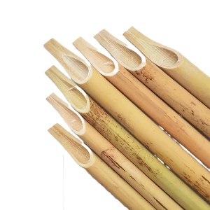 خوشنویسی-قلم شمالی قطور تراشیده