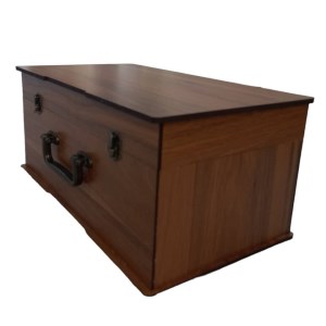 کارنو-جعبه رنگ طرح نوکار