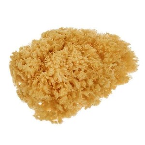 اسفنج پتینه