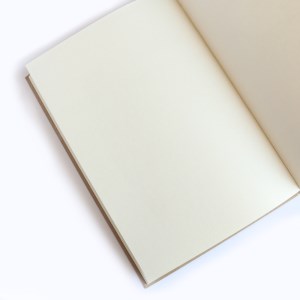 پیل- دفتر آرت فریدا