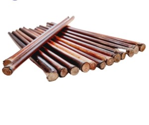 قلم نی دزفولی105