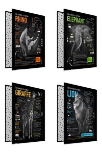 پیل-کلاسور26حلقه 100برگ آفریقا