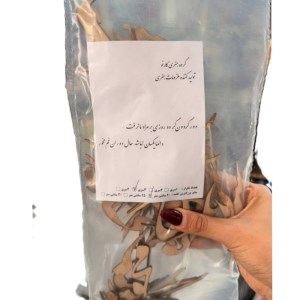 کارنو-حروف کالیگرافی(دورگردون گر دوروزی بر مراد ما نرفت)