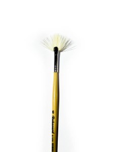 رهاورد چتری